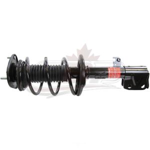 Strut Assembly Front passenger Side Pontiac Vibe 2009-2010 , 11574
