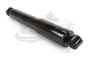 Strut Assembly Rear Driver Side/Passenger Side Dodge Caravan 2008-2019 Excludes Models With Nivomatt Rear Suspension , 253050