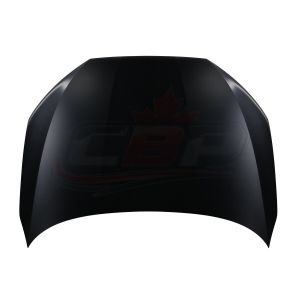 2022-2025 Audi A3 Hood Aluminum , AU1230141