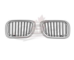 Grille Driver Side Bmw X5 2004-2006 Chrome/Silver With Titanium , BM1200159