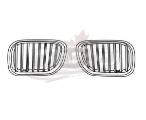 Grille Passenger Side Bmw X5 2004-2006 Chrome/Silver With Titanium , BM1200160