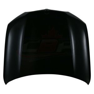 2019-2025 Bmw X5 Hood Aluminium , BM1230148