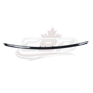 Bumper Molding Front Center Ford Explorer 2018-2019 Chrome, Fo1044120