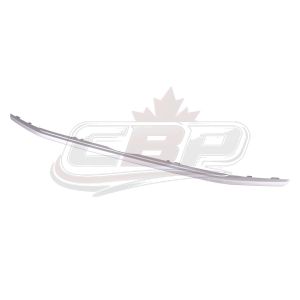 Grille Molding Lower Ford Ecosport 2018-2022 Ptd Silver Gray, Fo1216115
