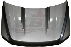 2021-2025 Ford F150 Hood Aluminum , FO1230341