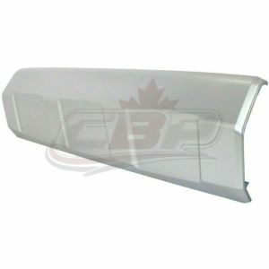 Valance Bumper Front Toyota Fj Cruiser 2007-2014 Painted Silver From 01/07 Capa , TO1095201C